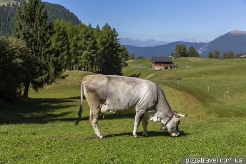 Плато Альпе ді Сіузі (Alpe di Siusi)