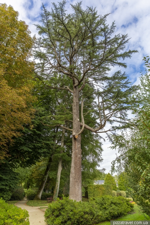 Замок Шеверні (Chateau de Cheverny)