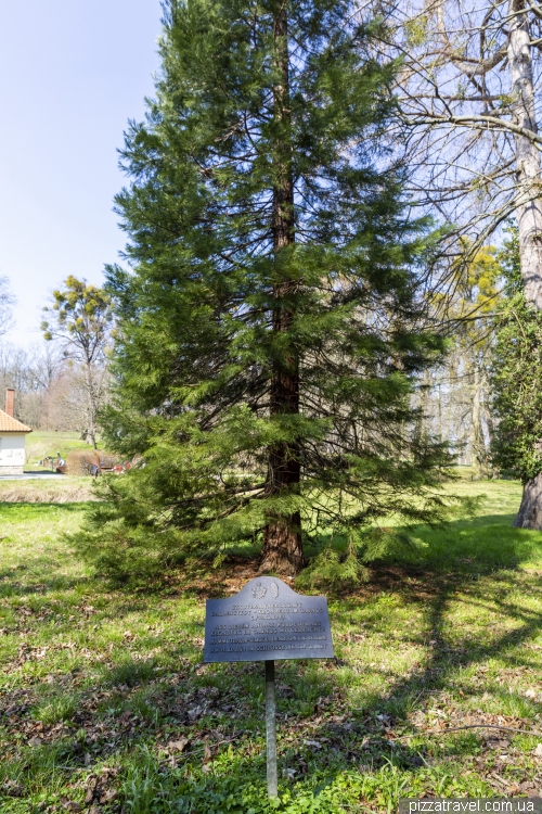 Ballenstedt