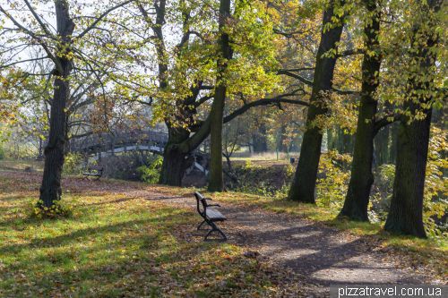 Autumn stroll in Magdeburg