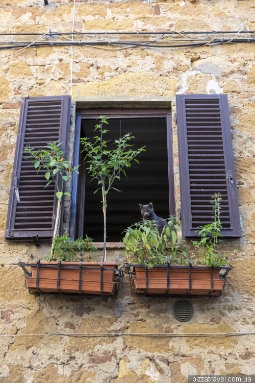 П'єнца (Pienza)