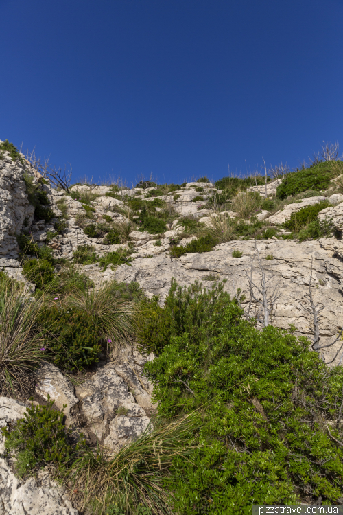 Мальовничі краєвиди з вершини гори Монте-Руджу (Monte Ruju)