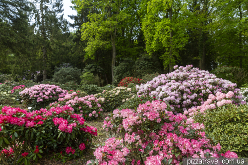 Hobbie Rhododendron Park