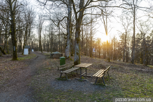 Оглядова вежа на горі Вільцен (Wilzenbergturm)