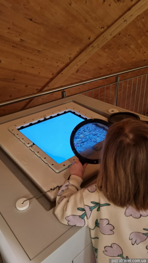 Universum Science Museum in Bremen