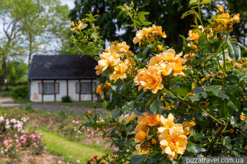 European Rose Garden in Sangerhausen (Europa-Rosarium Sangerhausen)