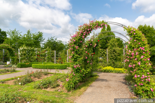 European Rose Garden in Sangerhausen (Europa-Rosarium Sangerhausen)