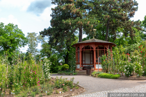 European Rose Garden in Sangerhausen (Europa-Rosarium Sangerhausen)