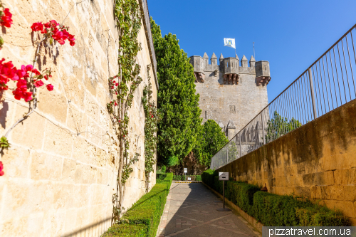 Almodóvar del Río Castle (Castillo Almodóvar del Río)