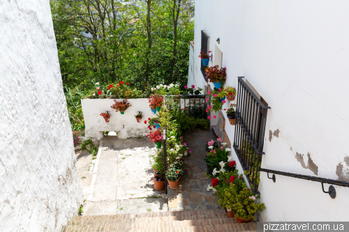 Casares