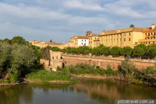 Cordoba