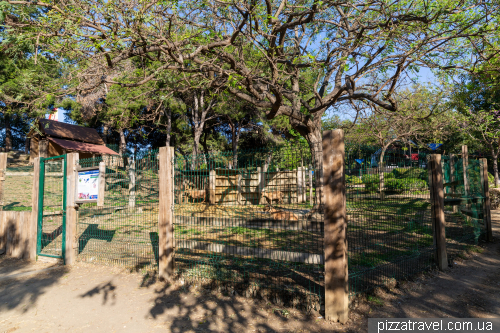 Paloma Park (Parque de la Paloma)