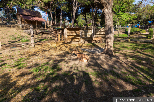 Paloma Park (Parque de la Paloma)