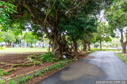 Sir Sivusagur Ramgoolam Botanical Garden