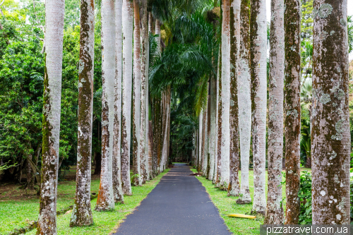 Sir Sivusagur Ramgoolam Botanical Garden