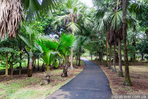 Sir Sivusagur Ramgoolam Botanical Garden