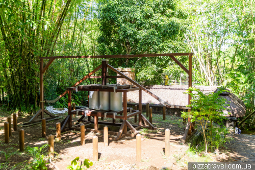 Sir Sivusagur Ramgoolam Botanical Garden