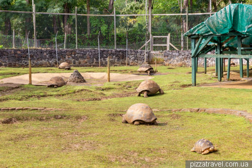Sir Sivusagur Ramgoolam Botanical Garden