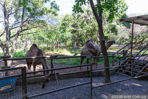 Casela Wildlife Park