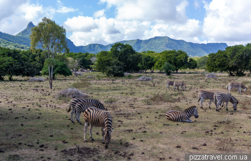 Casela Wildlife Park