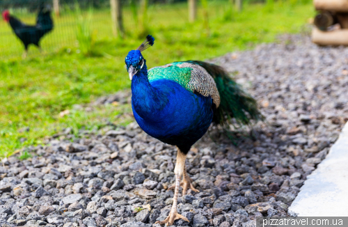 Парк активних розваг Долина квітів (La Vallée Des Couleurs Nature Park)