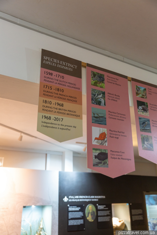 Прогулянка заповідником Шамарель (Ebony Forest Reserve Chamarel)