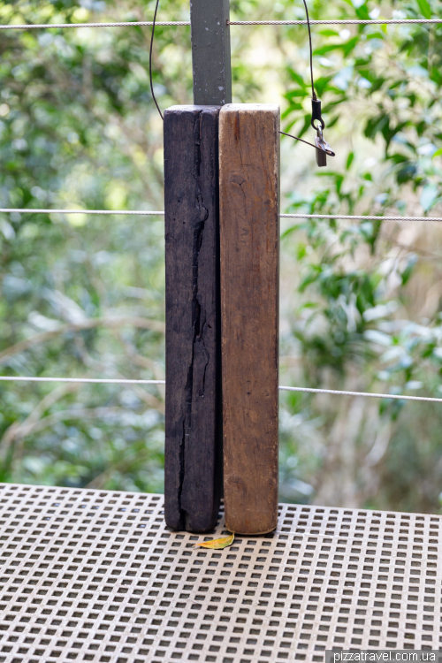 Прогулянка заповідником Шамарель (Ebony Forest Reserve Chamarel)