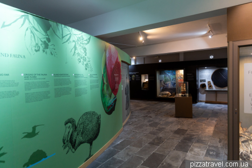 Прогулянка заповідником Шамарель (Ebony Forest Reserve Chamarel)