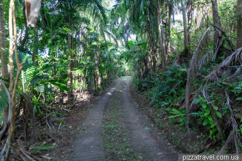 Прогулянка заповідником Шамарель (Ebony Forest Reserve Chamarel)