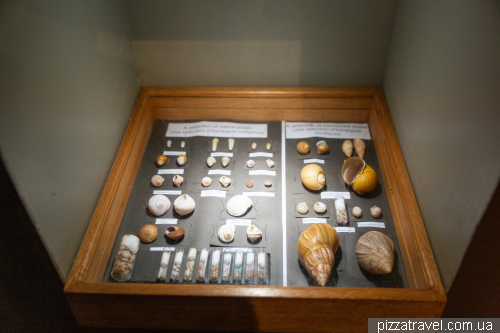 Прогулянка заповідником Шамарель (Ebony Forest Reserve Chamarel)