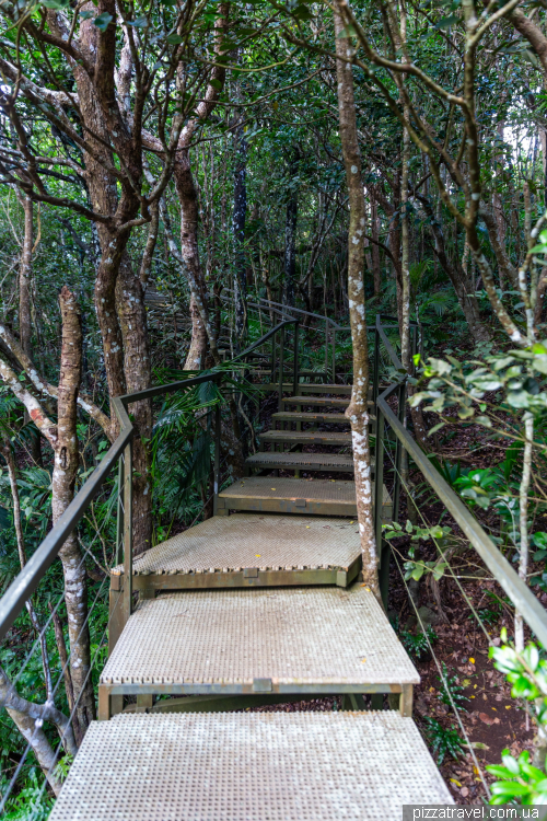 Прогулянка заповідником Шамарель (Ebony Forest Reserve Chamarel)