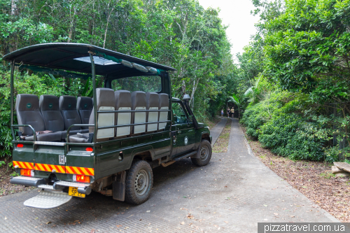 Прогулянка заповідником Шамарель (Ebony Forest Reserve Chamarel)