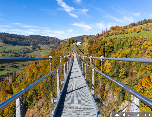 Підвісний міст у Шварцвальді