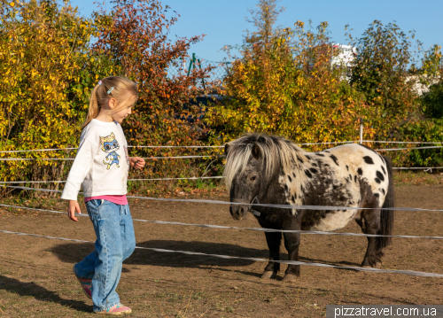 Міський парк Вернігероде (Wernigerode Bürgerpark)