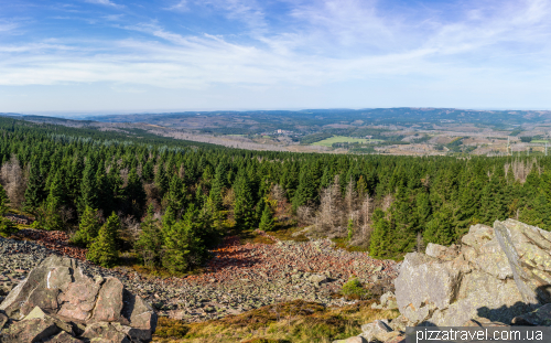 Wolfswarte rock in the Harz Mountains