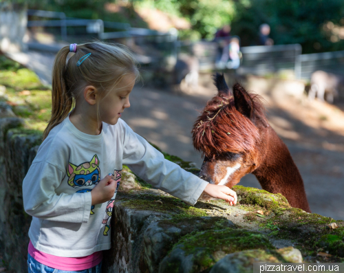Хальберштадт