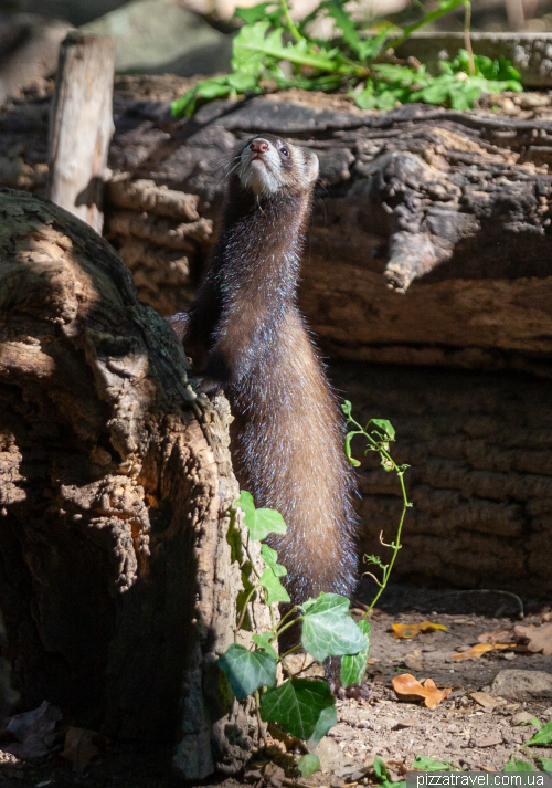 Хальберштадт