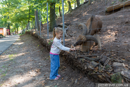 Хальберштадт