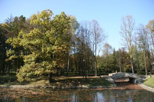 City lake