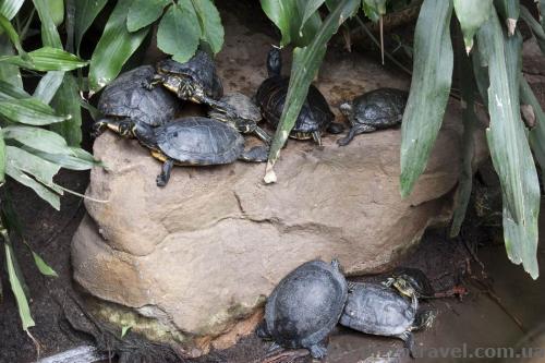 Adventure Zoo in Hannover