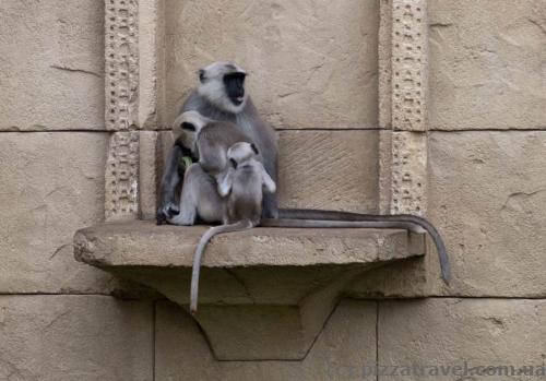 Adventure Zoo in Hannover