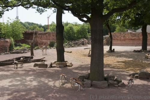 Adventure Zoo in Hannover