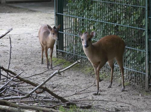 Adventure Zoo in Hannover