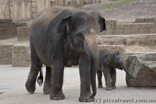 Adventure Zoo in Hannover