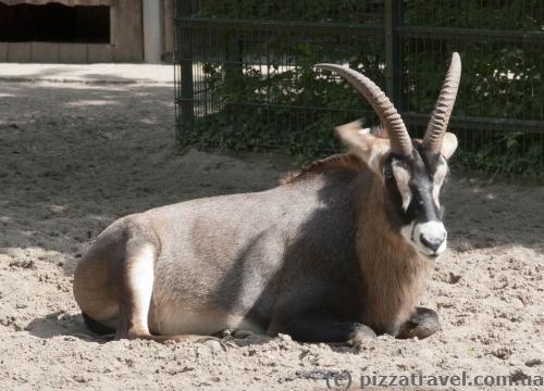 Adventure Zoo in Hannover