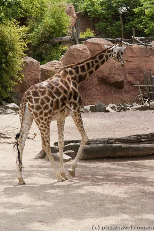 Adventure Zoo in Hannover