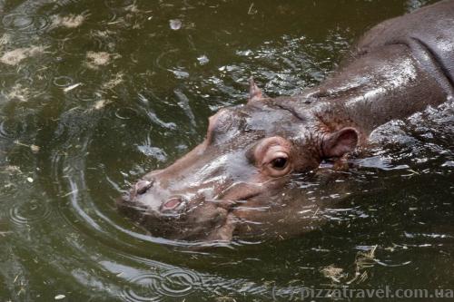 Adventure Zoo in Hannover