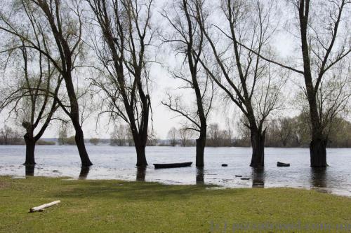 Мезинський національний природний парк