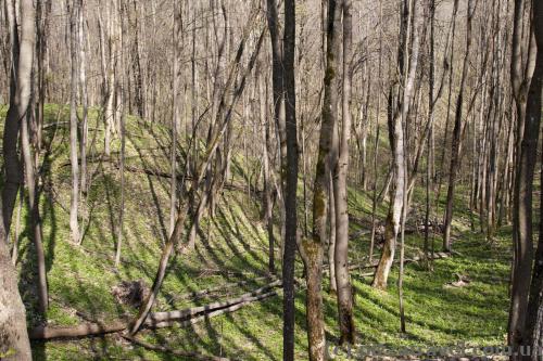 Ecotrail in the Mezyn National Nature Park