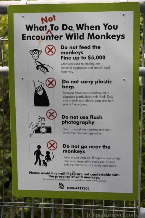 Do not feed the monkeys :)